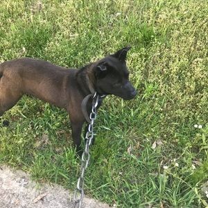 Meet your Posher, Nora